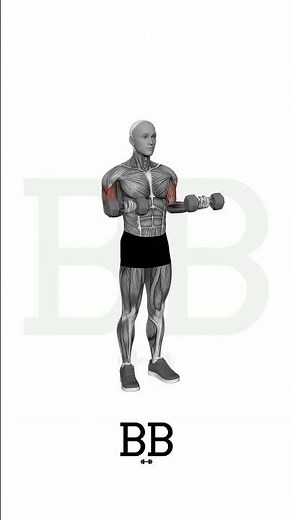 DB Half Curl - Bottom Half (ARMS): The Secret to a Massive Bicep Pump! 💪🔥