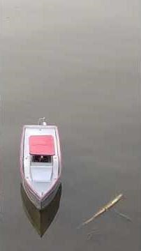RC Boat Model Testing #inspiration#viralvideo #rchobbies #rcmodelboat