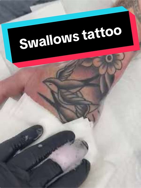 Swallows Tattoo by Trystan Smith - Bold Designs