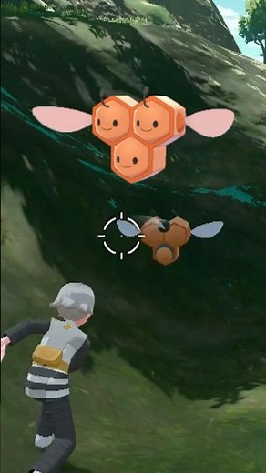 Male SHINY Combee ✨