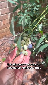 6K views · 182 reactions | Super cool plants you need to know about —...