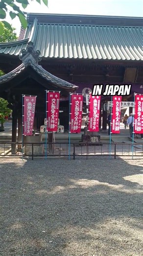 Inside Japan’s Most Beautiful Temple ⛩️✨ #TravelShorts