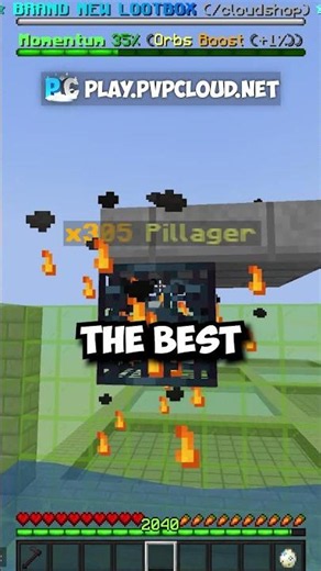 BEST MONEY MAKING METHOD on the BIGGEST MINECRAFT SKYBLOCK SERVER...