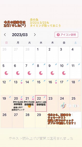 排卵日を特定する方法と妊活のタイミング