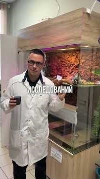 ПРАВДА что со снюса слезть труднее чем с нар@отиков?Топ 3 препарата которые помогут вам. #reels