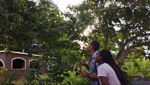 nick wildlife adventures on TikTok