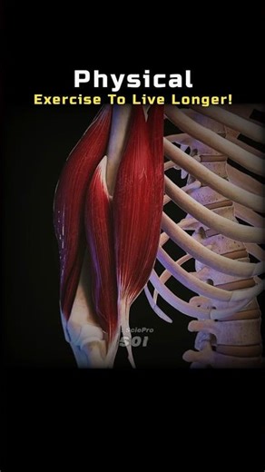 Physical Exercise To Live Longer 💪💀 #Shorts #Biology #Space #Astronomy #Universe #Health