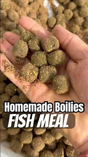 Secret Recipe: Homemade Boilies with Fish Meal 🎣