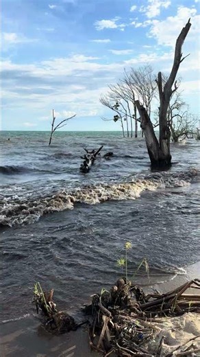This lake in Burundi 🇧🇮🌊😳