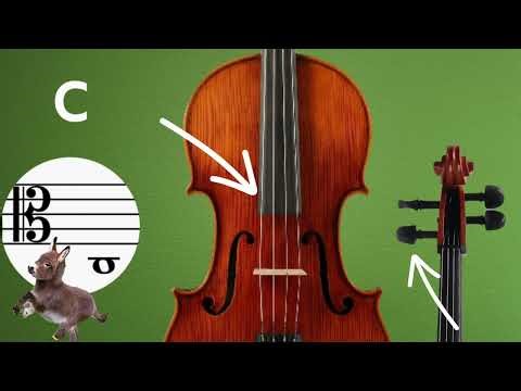 Viola C String Tuning note.