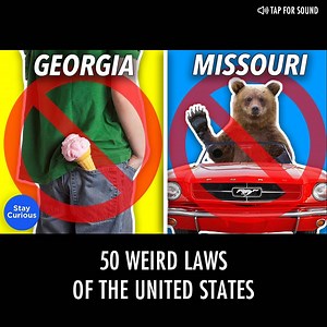 1.5M views · 13K reactions | 50 Weird Laws Of The United States  | Simon Wilson | Facebook