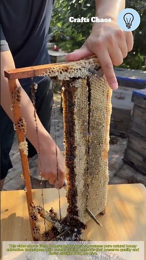 Fresh honeycomb harvest: pure natural honey extraction techniques and honeycomb cutting methods