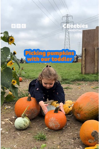 Pumpkin Picking Fun for Families This Autumn