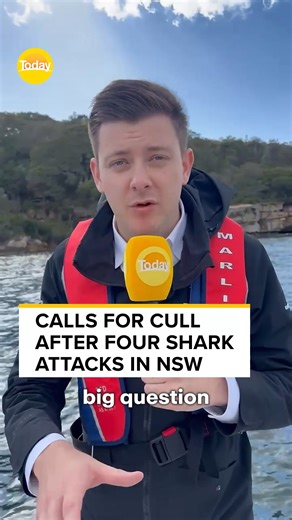 As victims of the NSW shark attacks fight for life in hospital, there are growing calls for human intervention to prevent more incidents. #9Today LATEST: https://nine.social/14Gj | TODAY