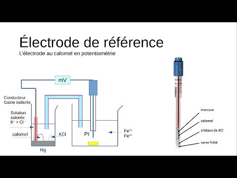 Electrode au calomel, constitution, théorie