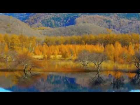 Pieces of April - Larry Lud (cover)