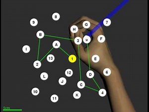 KST: Trails B, Healthy Subject