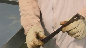 How to Use a Hive Tool