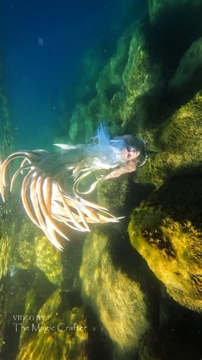 A horned serpent-like mermaid glides through the water of Lake Michigan. This is a video of the White Dragon Mermaid character that I created a while back. My boyfriend helped me film some underwater footage of this mermaid after I inserted a new fin into the tail. It is still a very difficult silicone mermaid tail to swim in, but the monofin did help some! How do you like this mermaid character's look? It was based on the look of Eastern Dragons. 🤍 #themagiccrafter #whitedragonmermaid #dragonm