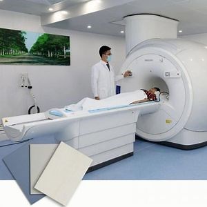 [Hot Item] Hospital Wall Guards Corridor Wall Protection