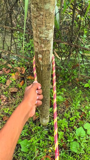Amazing Rope Knot for Tree Binding | Strong & Easy Knot Tutorial #survival #knot #lifehacks