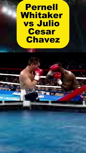 ¿Ganó realmente Chávez? Resumen de la pelea Whitaker vs. Chávez