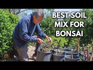 Bonsai Techniques: A Unified Approach to Soil Mix, Watering, and Fertilizing