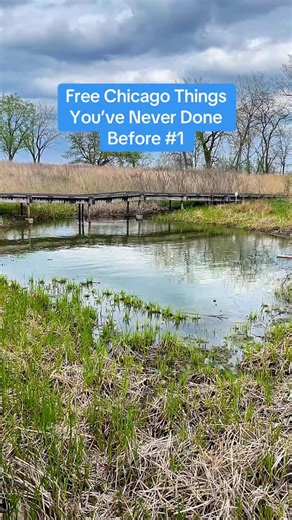 24K views · 14K reactions | Explore a historic Chicago building and find some new froggy friends - all for free! | bored_in_chicago | Facebook