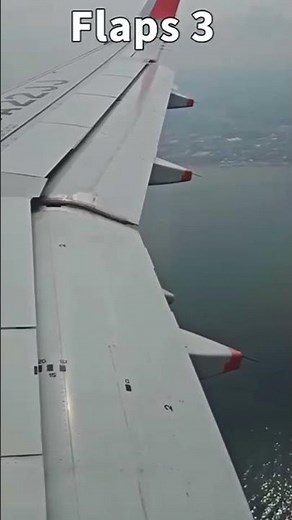 A320 Landing | Flaps FULL & Spoilers Deploy