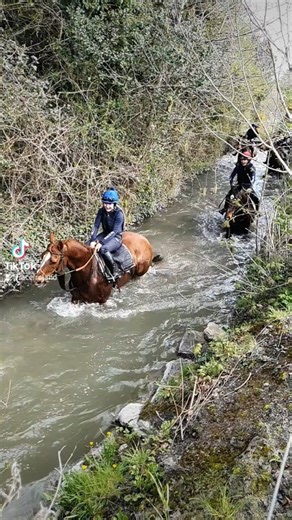 1.7K views · 65 reactions | Busy Few weeks here - Trainee Jockey assessment weeks 1 and 2 completed  Feauturing lunging, stalls training, and a day cross country schooling. Fun for riders, horses and spectators 珞❤️ | RACE | Facebook