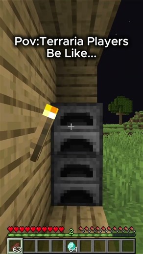 Average Terraria Experience be like... #minecraft