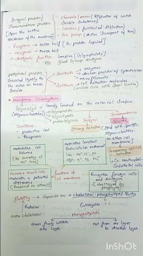mbbs first year notes-general physiology- cells and its functions