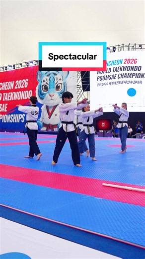 World Taekwondo Poomsae Chuncheon 2026 — Spectacular Poomsae