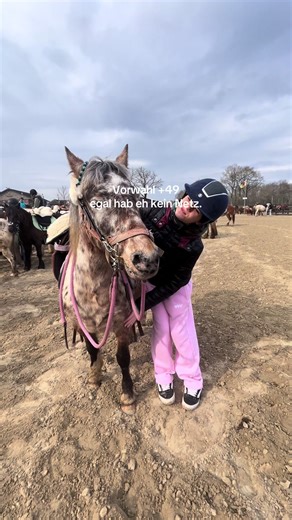 Exploring Vorwahl 49: Understanding Mobile Networks