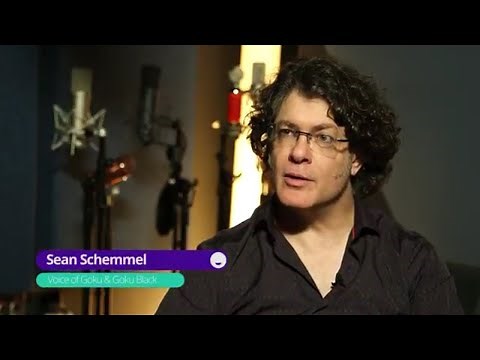 DBS Interview With Sean Schemmel 2018