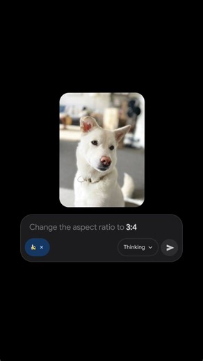 Google Gemini app on Instagram: "Go from portrait to panoramic and back again. Now you can resize any image in just a single prompt with Nano Banana Pro."