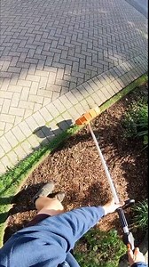 Essential Lawn Care Tips — Easy Mowing and Maintenance Guide