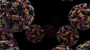 234 sickened in gastroenteritis outbreak at University of Guelph