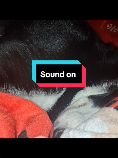 Sound on to her Kara snore.