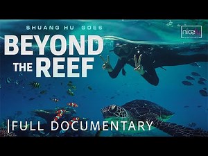 Beyond the Reef | Full Documentary - 4K