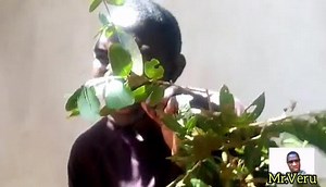 THE CRAZY TRANSLATOR 😂😂😂 Veru Mwenyewe🤣🤣🤣🤣🤣 | Mr.Veru