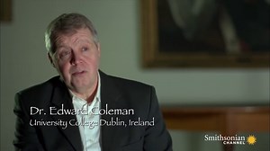 How To Become A Knights Templar - MasonicFind