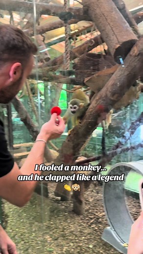 Amazing Magic Trick That Makes a Monkey Clap