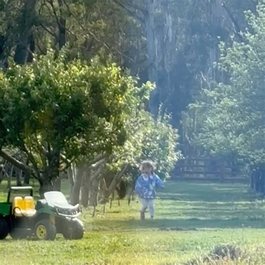 Pat Cummins on Reels