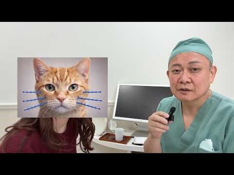 Non-dissolving thread lift at Tsurumai Park Clinic (32-year-old woman)