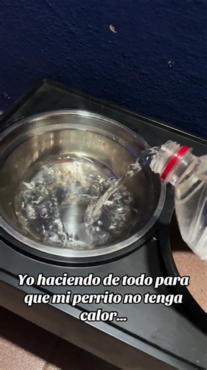 Videos de coni_1527 (@coni_1527) con “In the Mood - Glenn Miller”