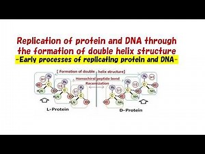 Replication of protein and DNA through the formation of double helix structure