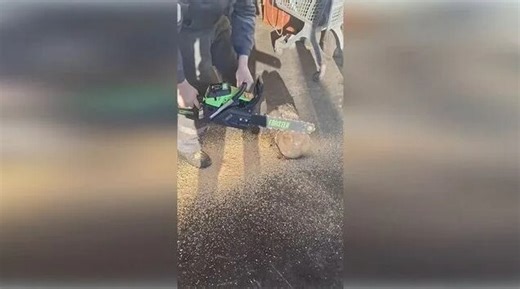 Бензопила Forster FS-58