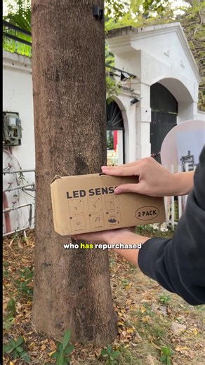 Cut Your Power Bill in Half with Solar Motion Sensor Lights