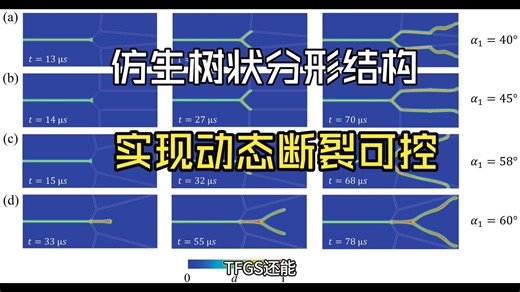 让裂纹“听话”：武汉理工仿生树状分形结构实现动态断裂可控